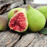 Frankincense & Fig Parfümöl
